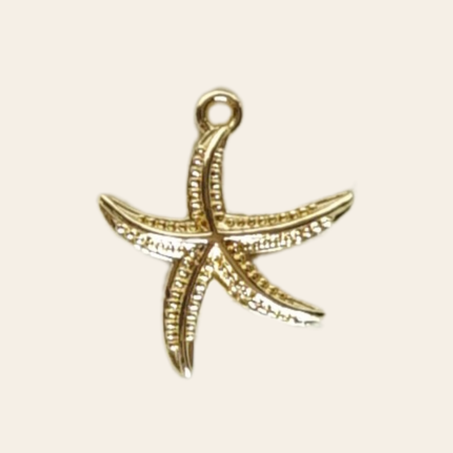 Etoile de mer détail