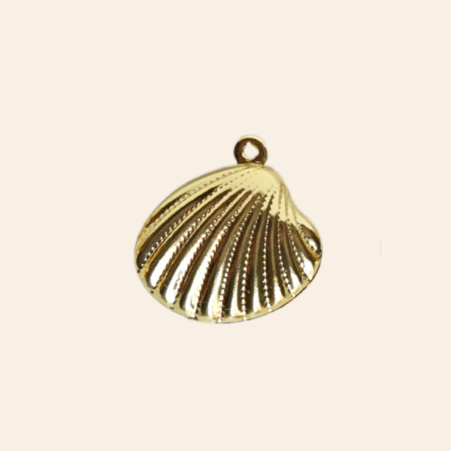 Coquille (3 styles)