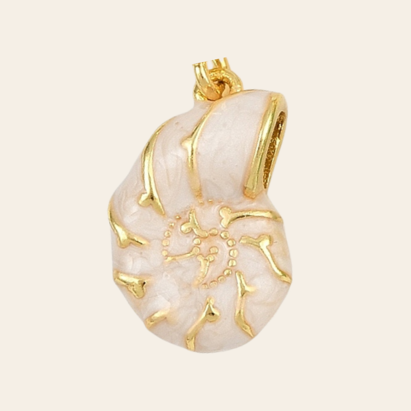 Coquillage émaillé
