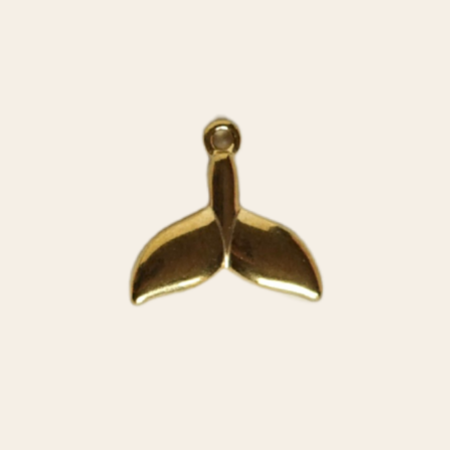 Petite queue de baleine