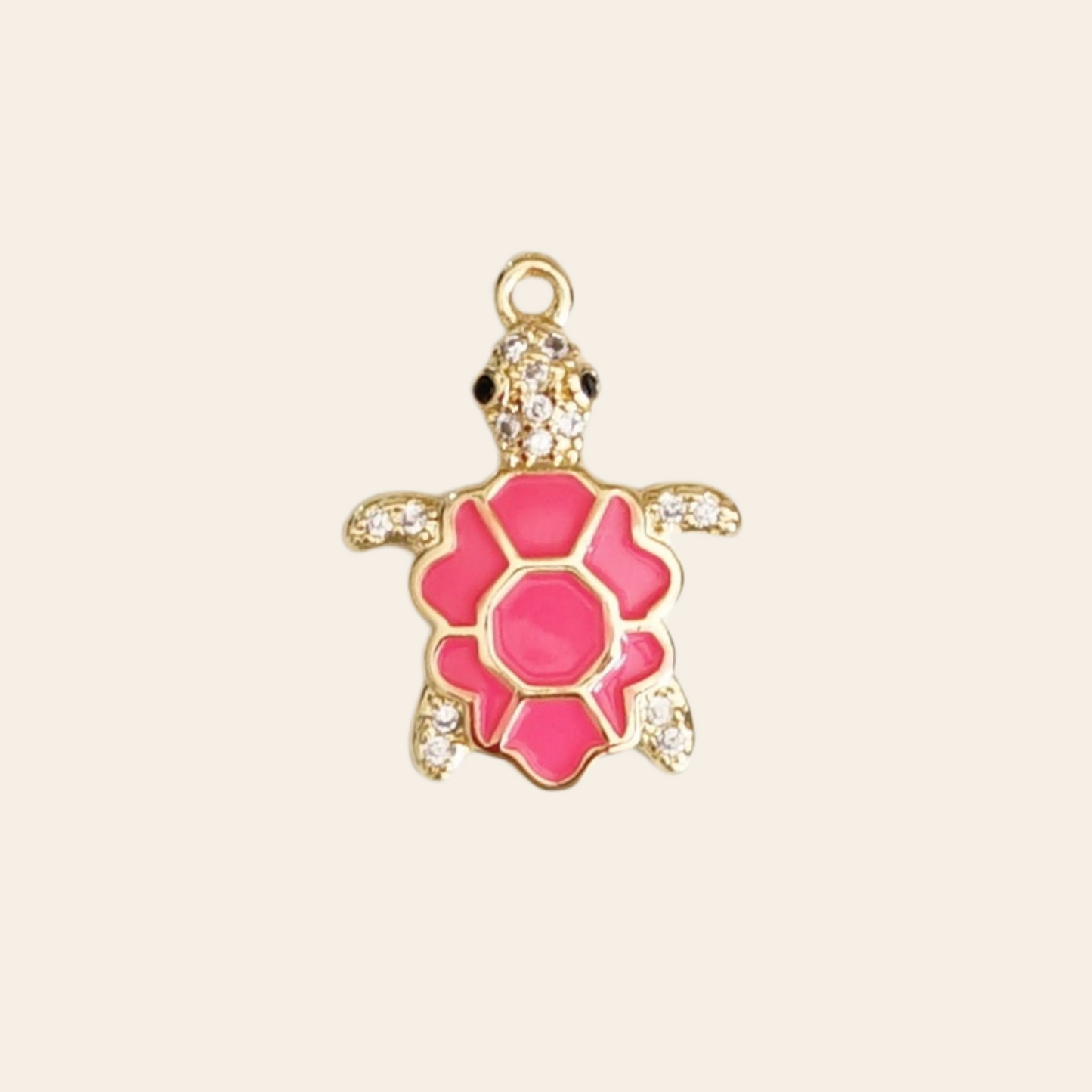 Tortue coloré