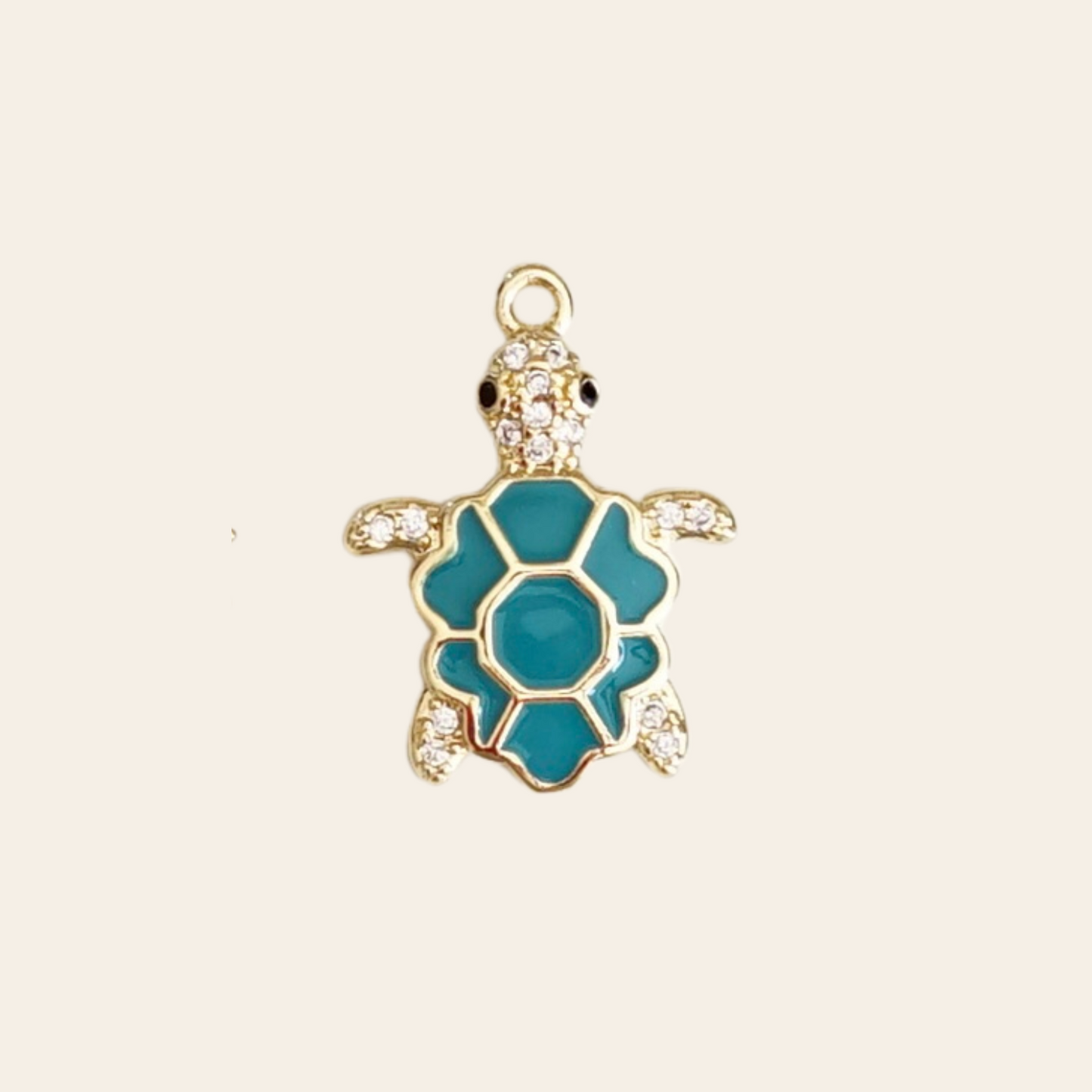 Tortue coloré