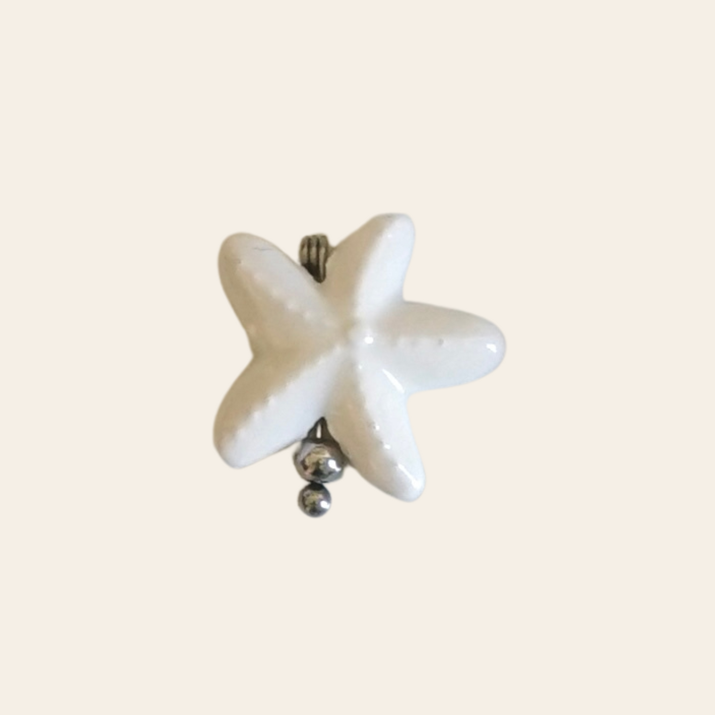 Étoile de mer porcelaine