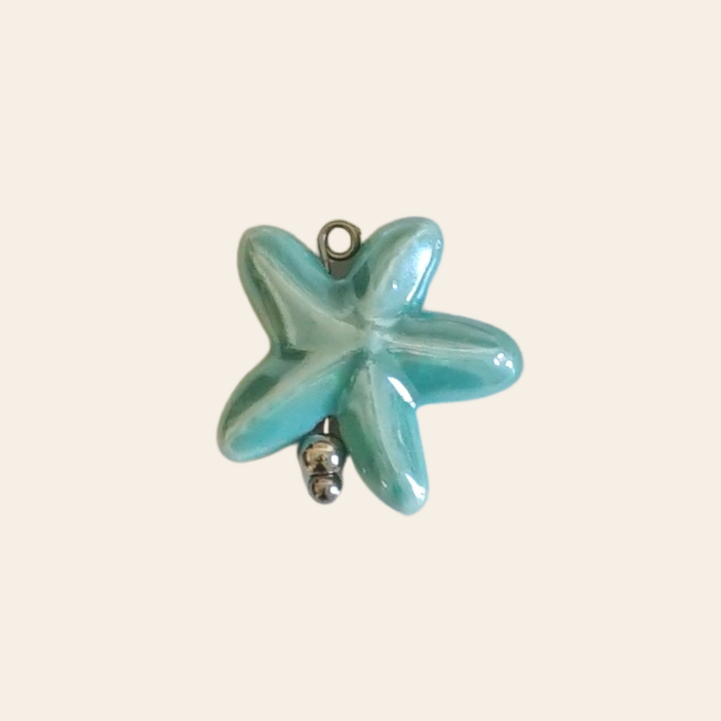 Étoile de mer porcelaine