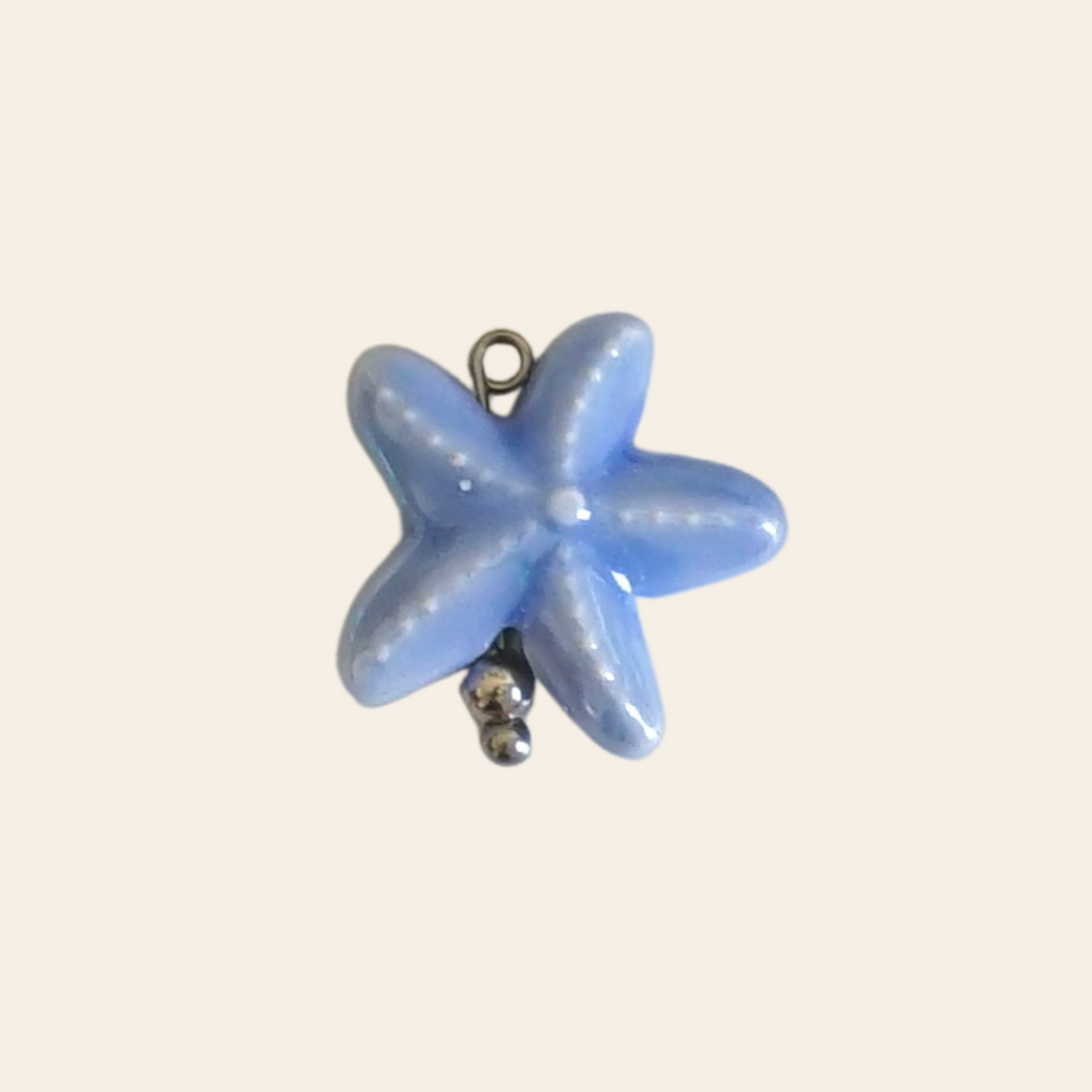 Étoile de mer porcelaine
