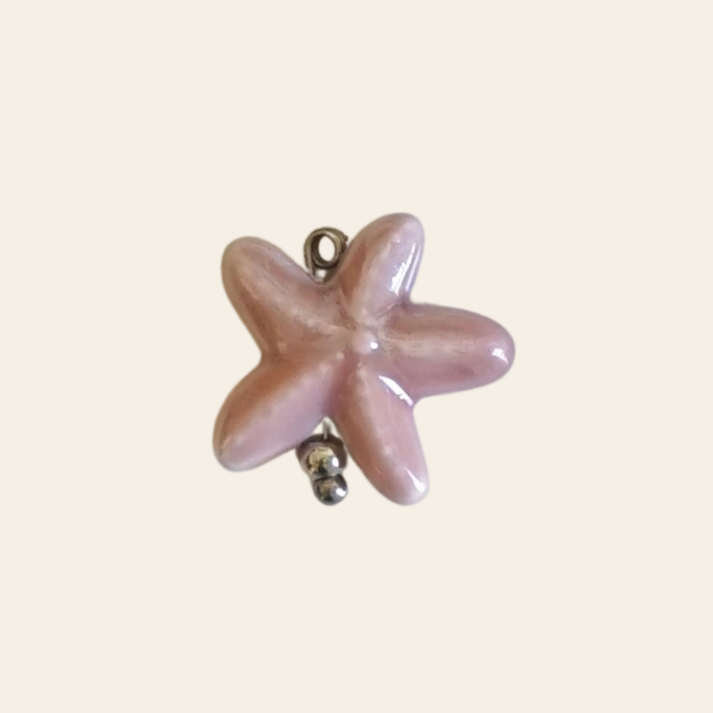 Étoile de mer porcelaine