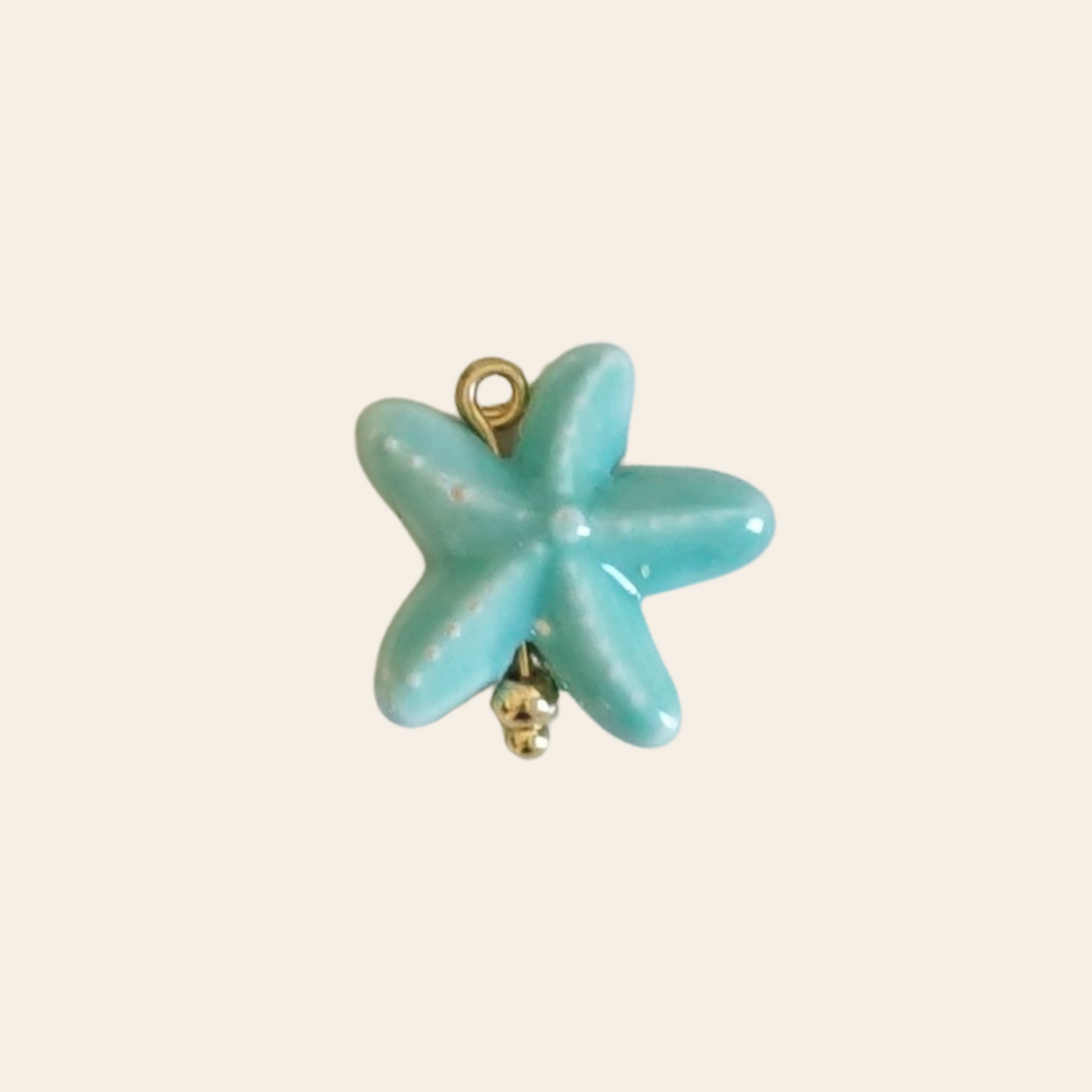 Étoile de mer porcelaine