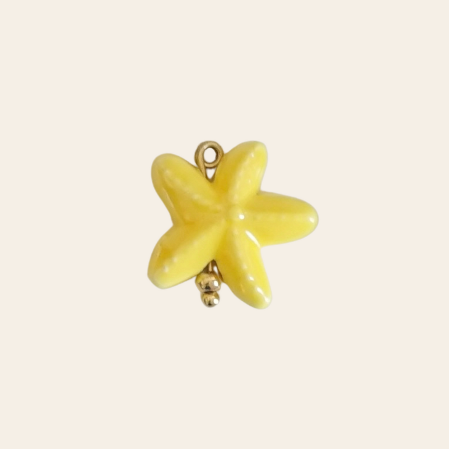 Étoile de mer porcelaine