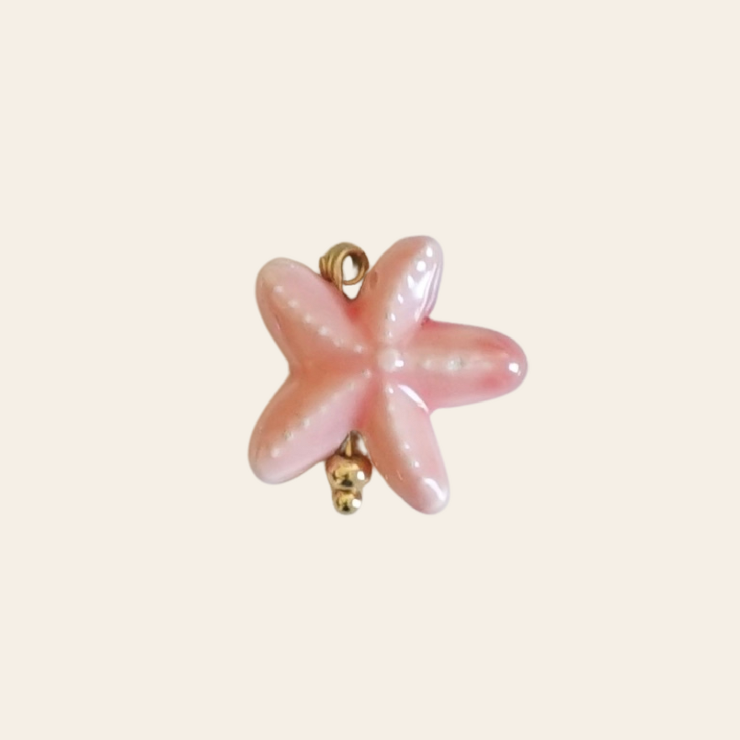 Étoile de mer porcelaine