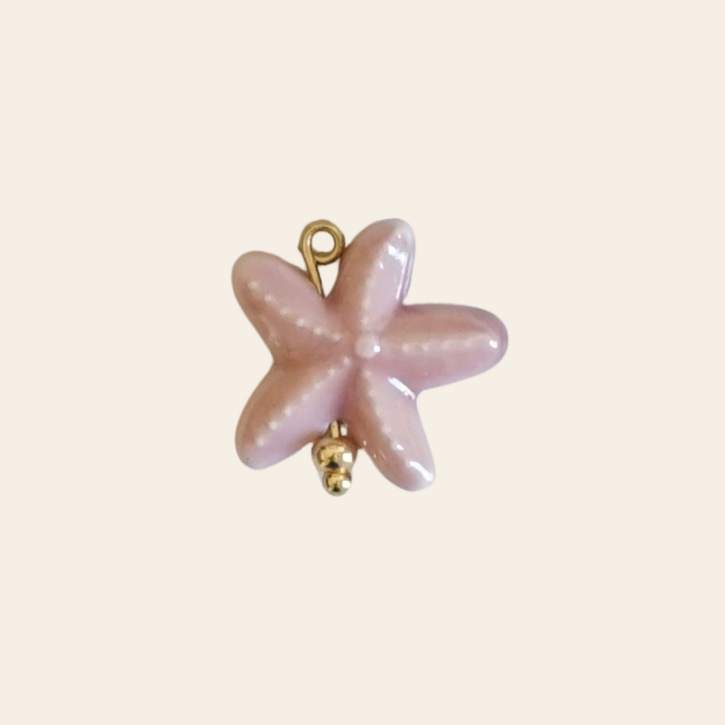 Étoile de mer porcelaine