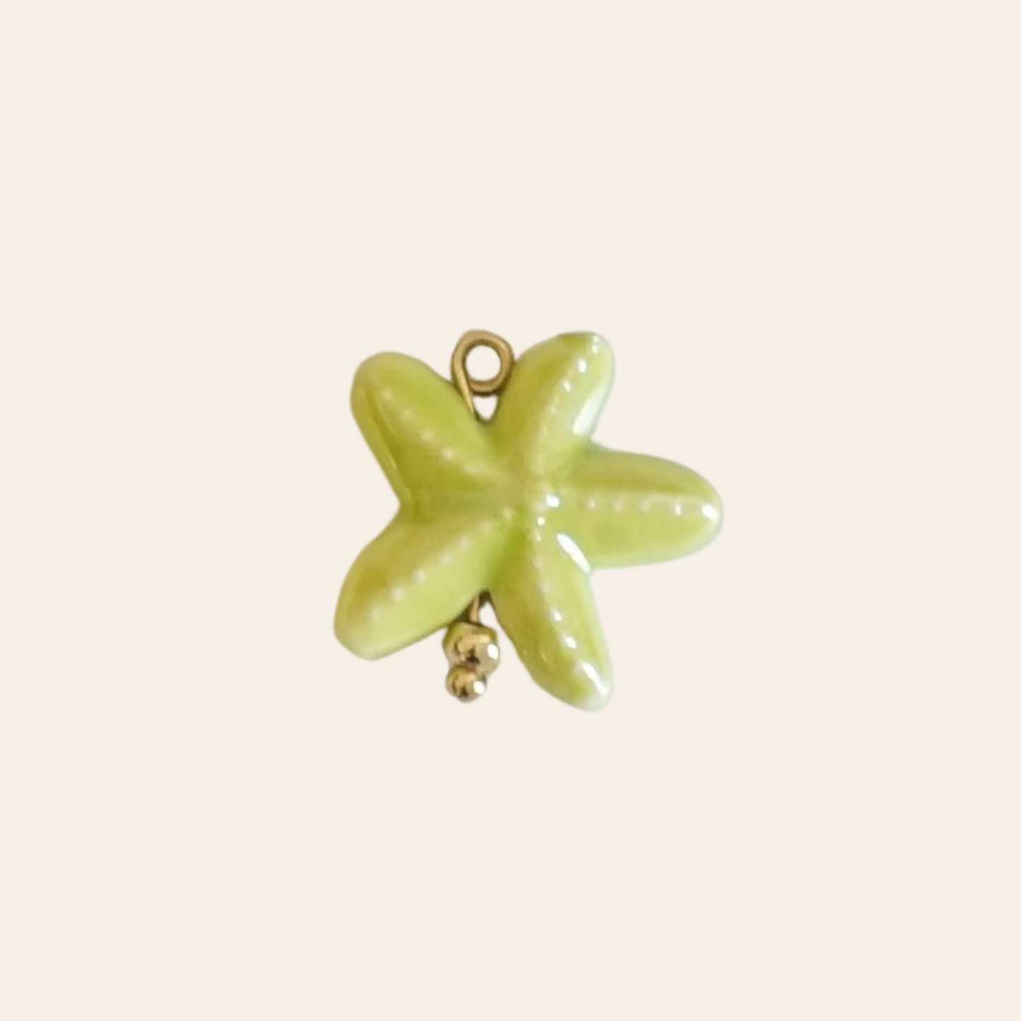 Étoile de mer porcelaine