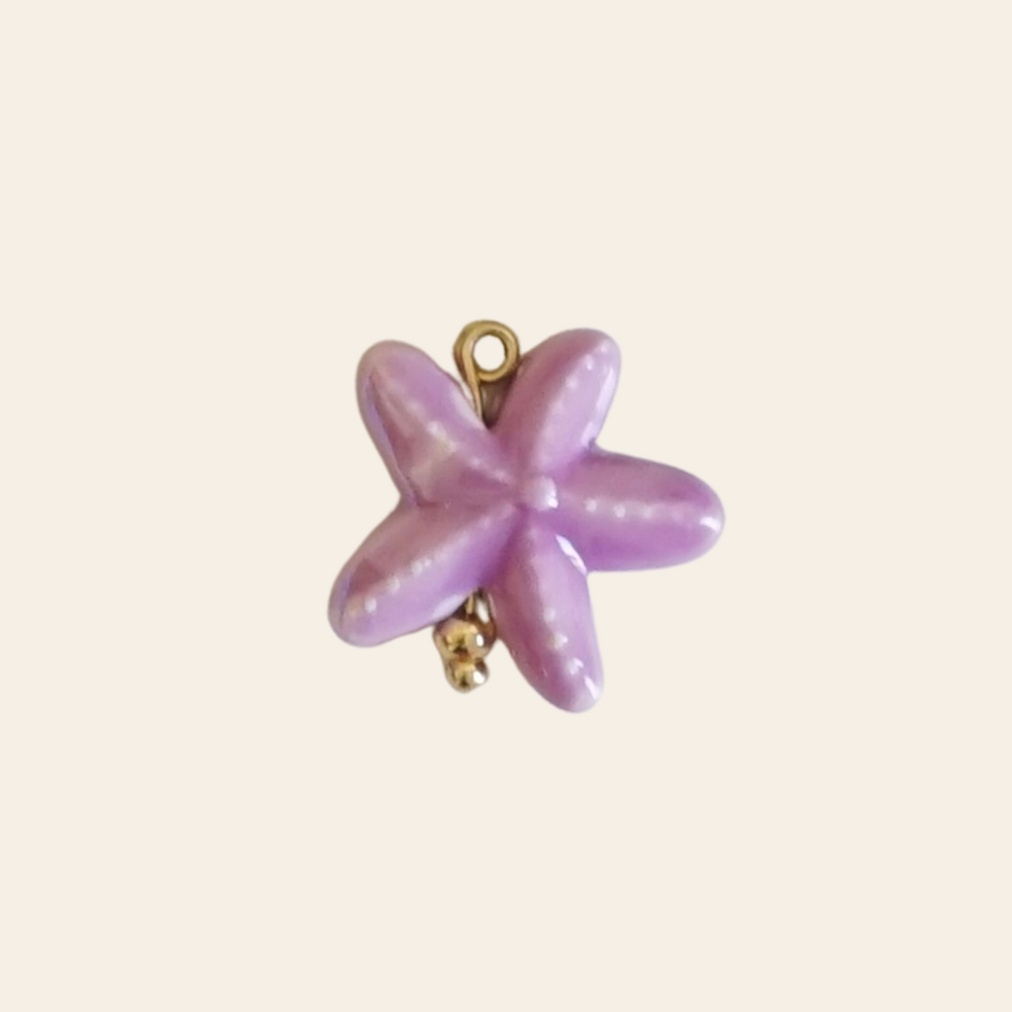 Étoile de mer porcelaine