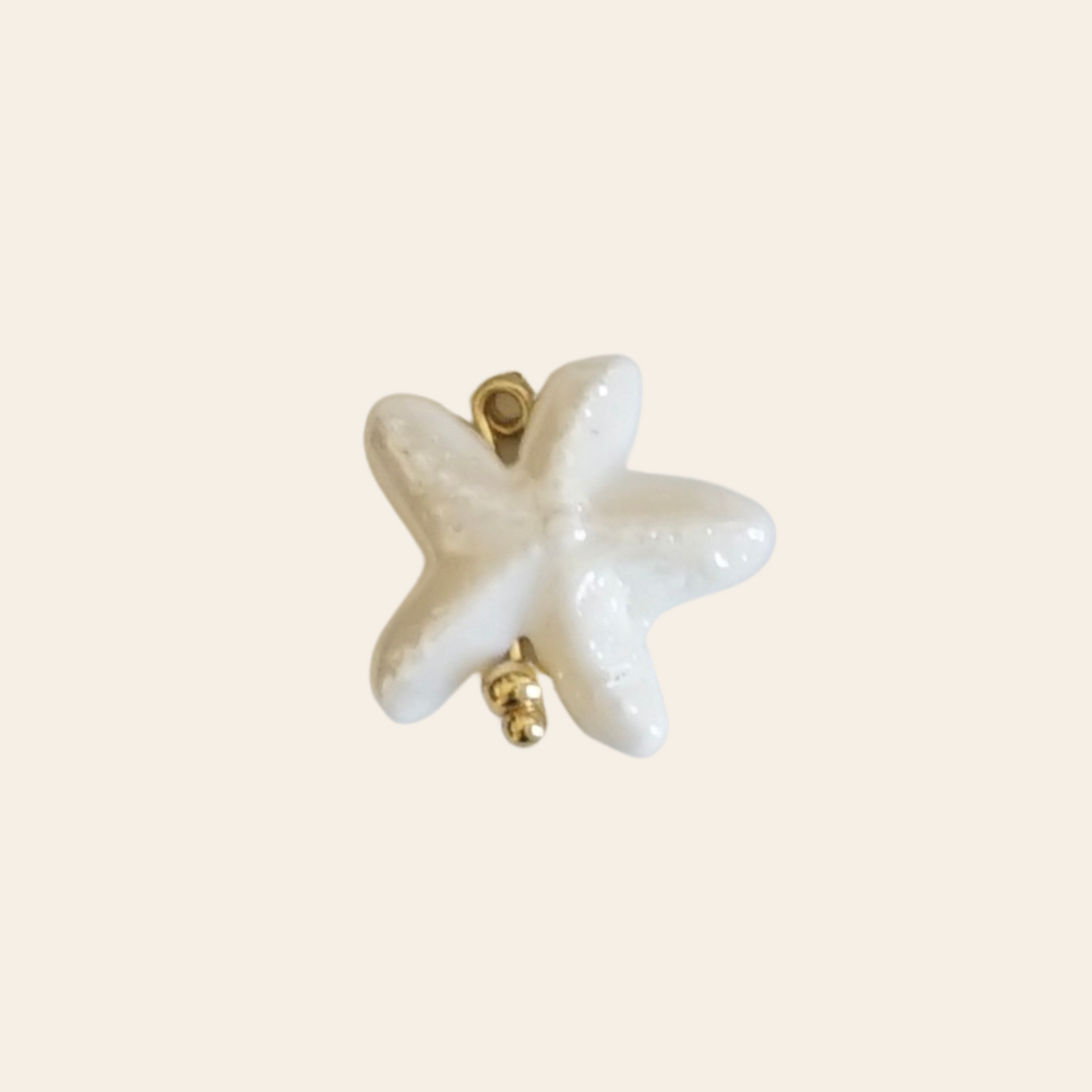 Étoile de mer porcelaine