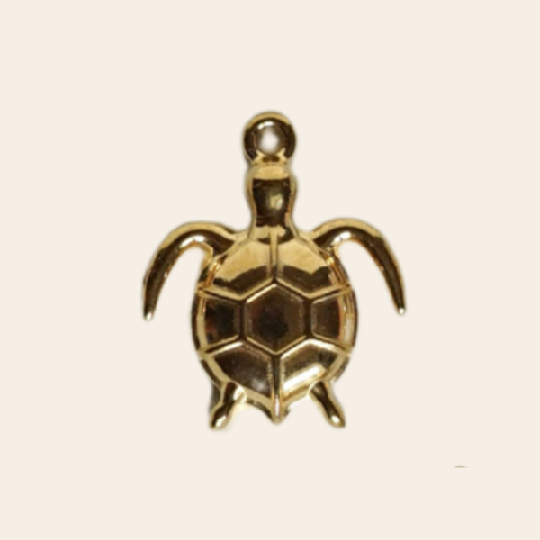 Petite tortue