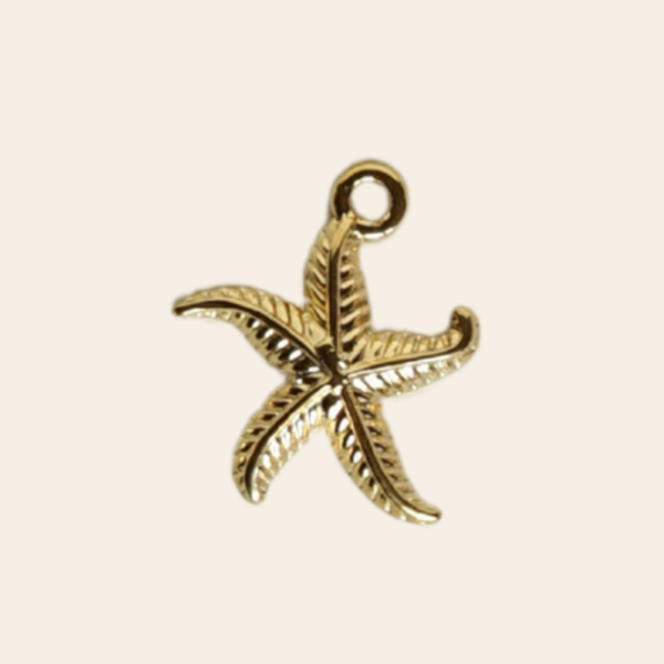 Petite étoile de mer
