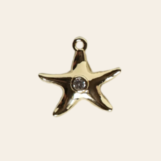 Petite étoile de mère zircon