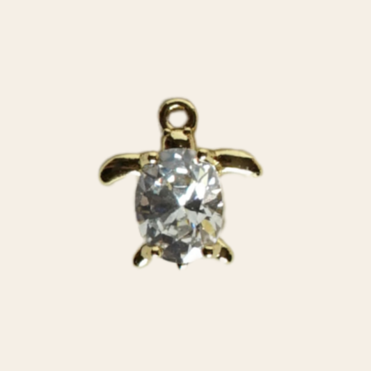 Tortue zircon