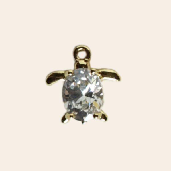 Tortue zircon