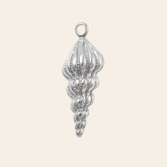 Coquillage long