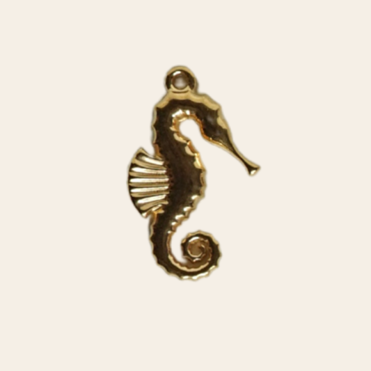 Petit hippocampe