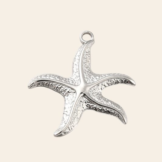 Grosse étoile de mer