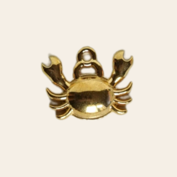 Petit crabe