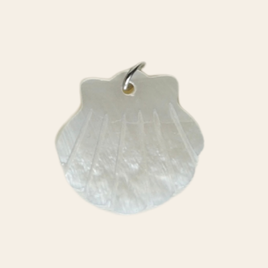 Coquille nacre