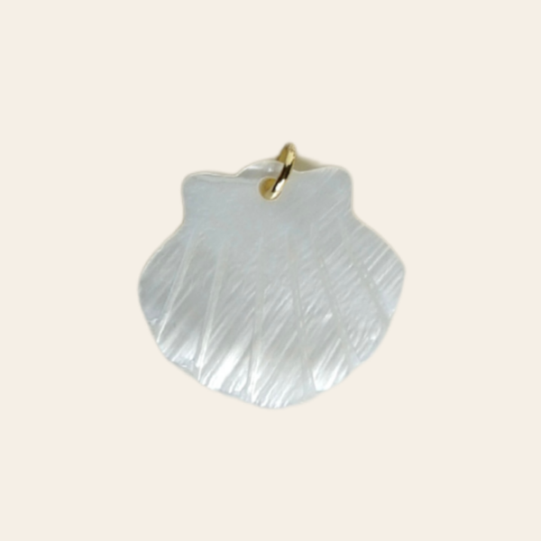 Coquille nacre