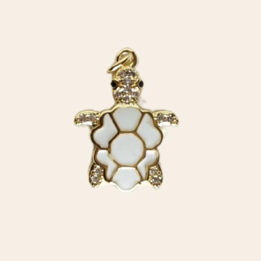 Tortue coloré