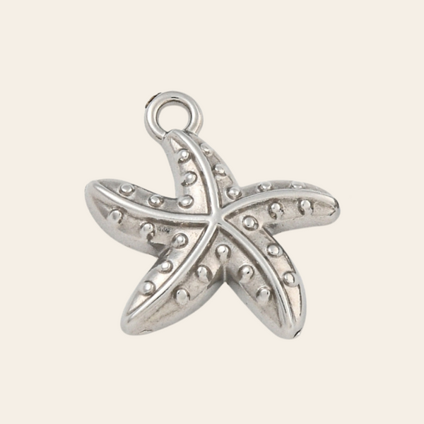 Petite étoile de mer