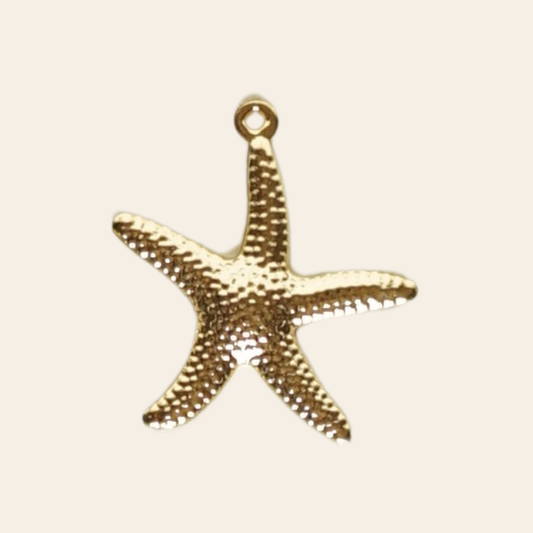 Etoile de mer fine