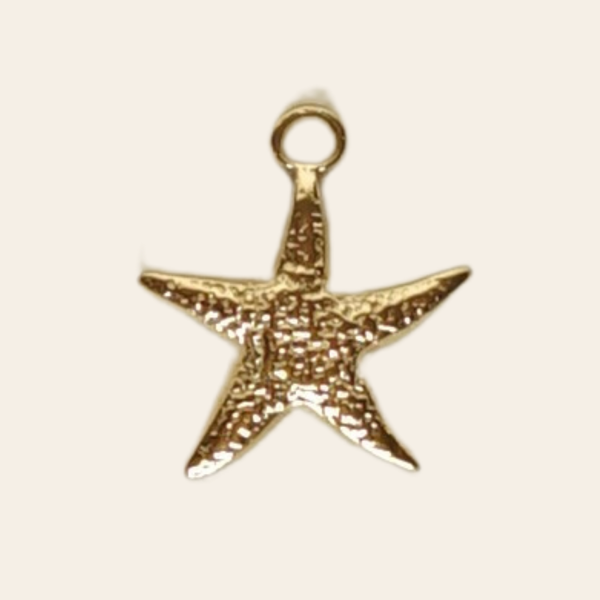 Etoile de mer
