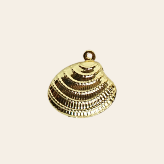 Coquille (3 styles)