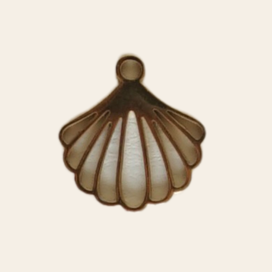 Coquillage creux