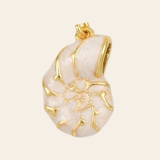 Coquillage émaillé