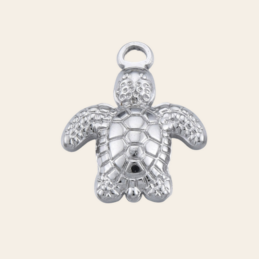 Petite tortue