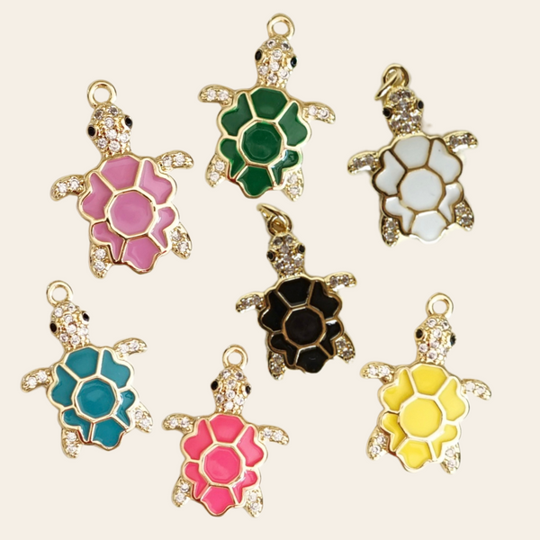 Tortue coloré