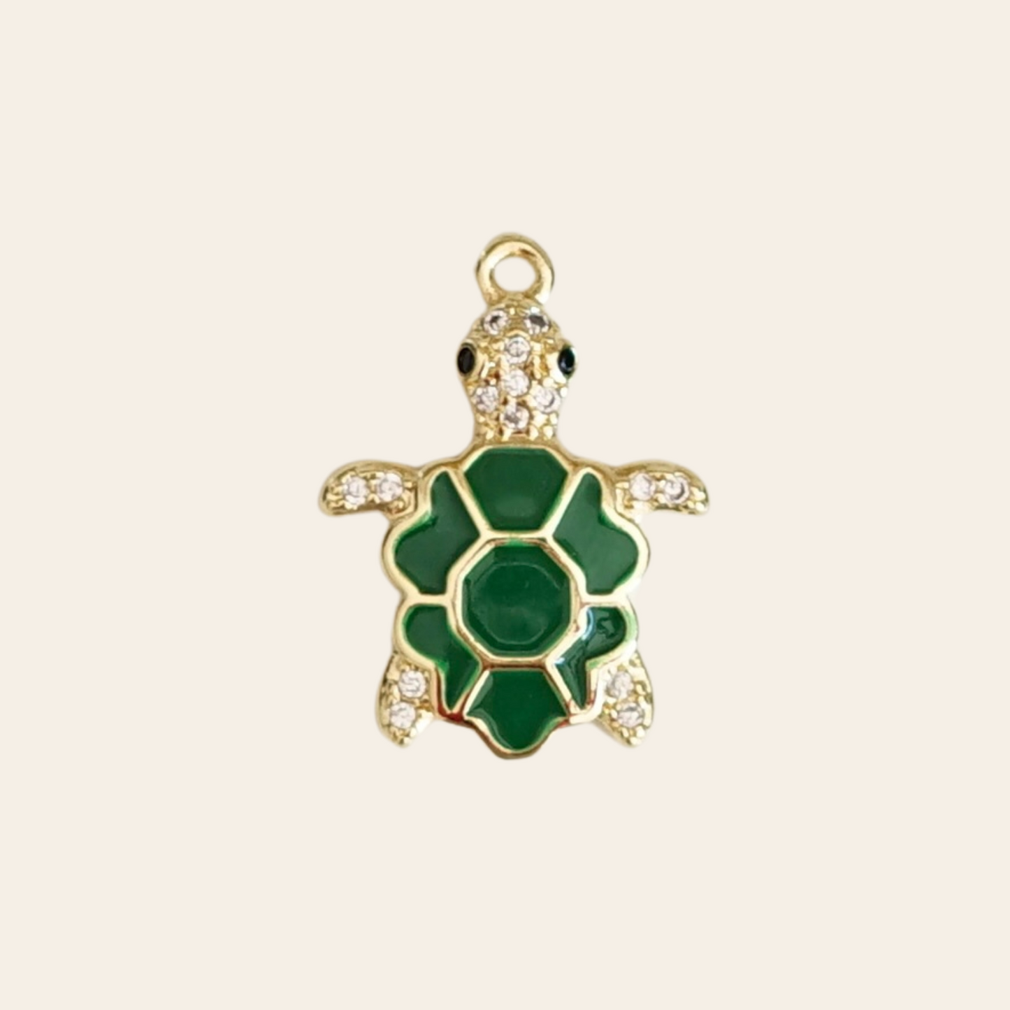 Tortue coloré