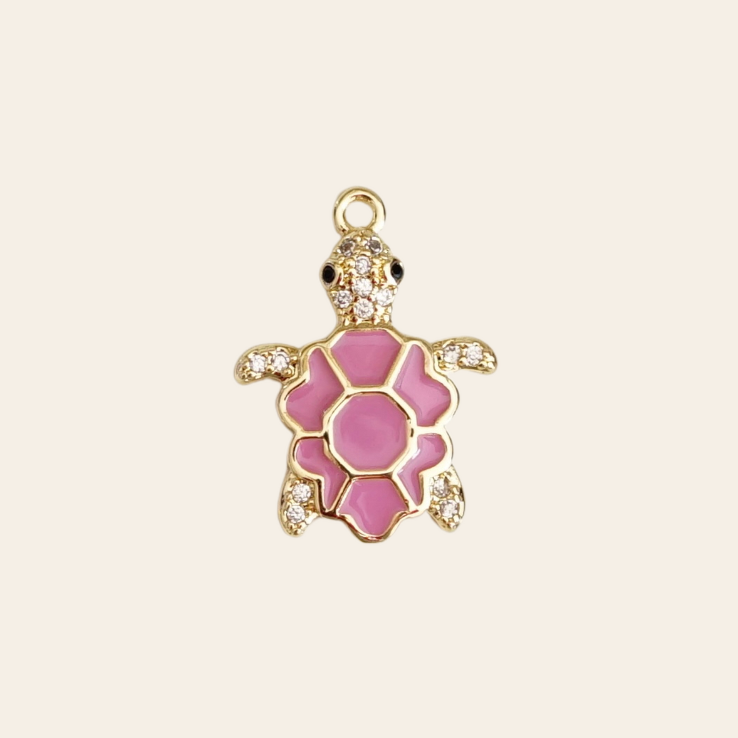 Tortue coloré