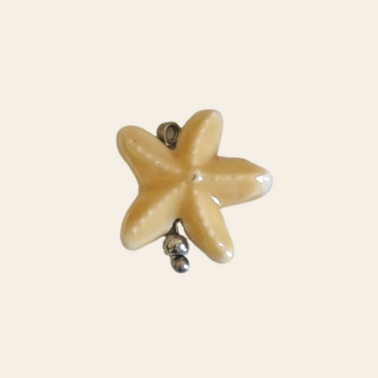 Étoile de mer porcelaine