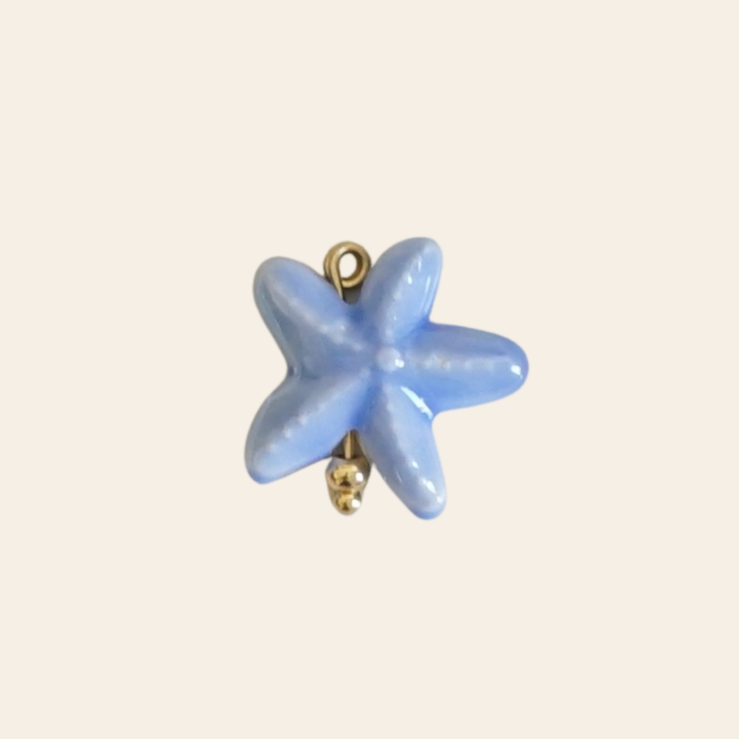 Étoile de mer porcelaine
