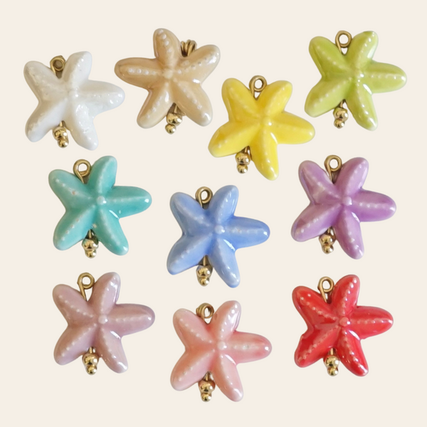 Étoile de mer porcelaine