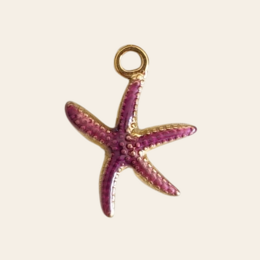 Etoile de mer violette